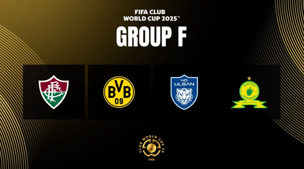 2025新澳正版資料精準(zhǔn)解析與預(yù)測，2025新澳正版資料精準(zhǔn)解析與趨勢預(yù)測