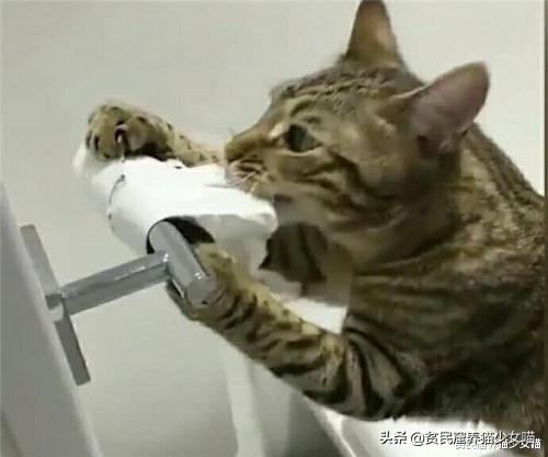 腹瀉拉稀水是什么原因，全面解析常見原因與應(yīng)對(duì)之策，腹瀉拉稀水的原因及應(yīng)對(duì)之策全面解析