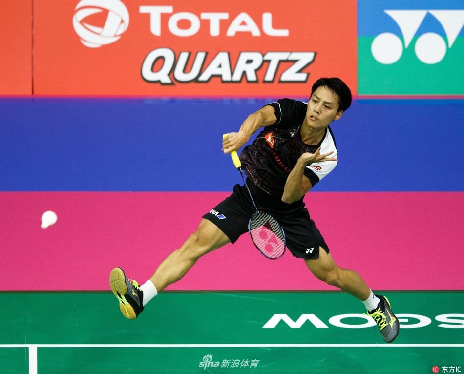 一肖平碼王中王，揭秘背后的秘密與策略，揭秘一肖平碼王中王的秘密與策略