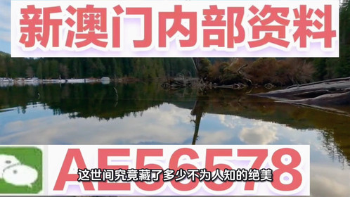 探索未來，2025新澳最新版精準(zhǔn)特色解析，探索未來，揭秘新澳最新版精準(zhǔn)特色解析（2025版）
