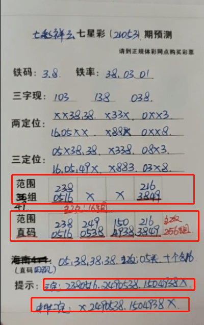 鐵算盆王中王中特一肖，揭秘背后的秘密與策略，揭秘鐵算盆王中王特一肖背后的秘密與策略之道