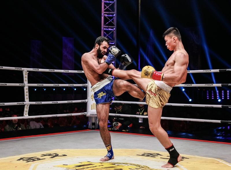 四肖期期準(zhǔn)一王中王，揭秘預(yù)測(cè)背后的秘密與策略，揭秘四肖期期準(zhǔn)一王中王預(yù)測(cè)背后的秘密與策略之道