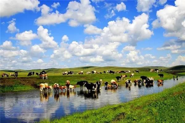 中國夏季旅游勝地前十名——夏日炎炎，赴一場清涼之旅，中國夏季旅游勝地TOP10，炎炎夏日，清涼之旅必選之地