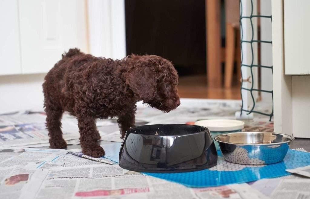 除口臭最好最有效的牙膏，選擇最佳口腔清潔伙伴，告別口臭尷尬，告別口臭尷尬，尋找最有效的口腔清潔伙伴，選擇最佳牙膏守護(hù)口腔健康