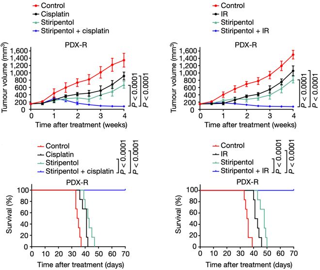 乳酸脫氫酶偏高的原因及其影響，乳酸脫氫酶偏高原因及其影響解析